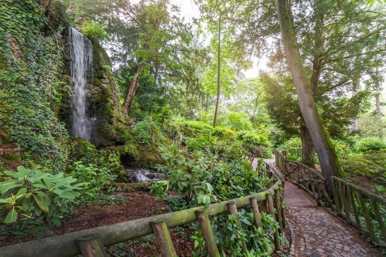 Calme Appart Renove Jardin Des Plantes Busca Toulouse Eksteriør billede